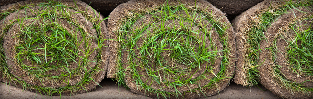 turf for laying